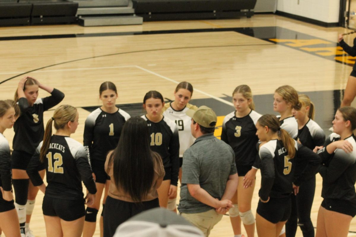 Coach calls a timeout for the Lady Cats.